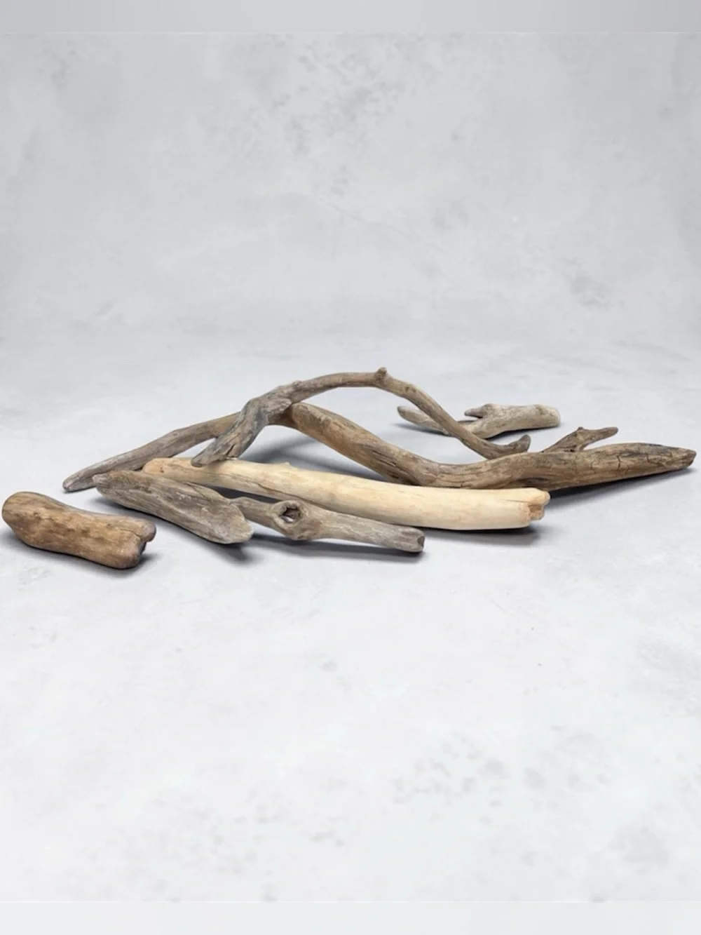 Natural Driftwood Logs Coastal Beach Naturescape Set Neutral Brown Gray Tan